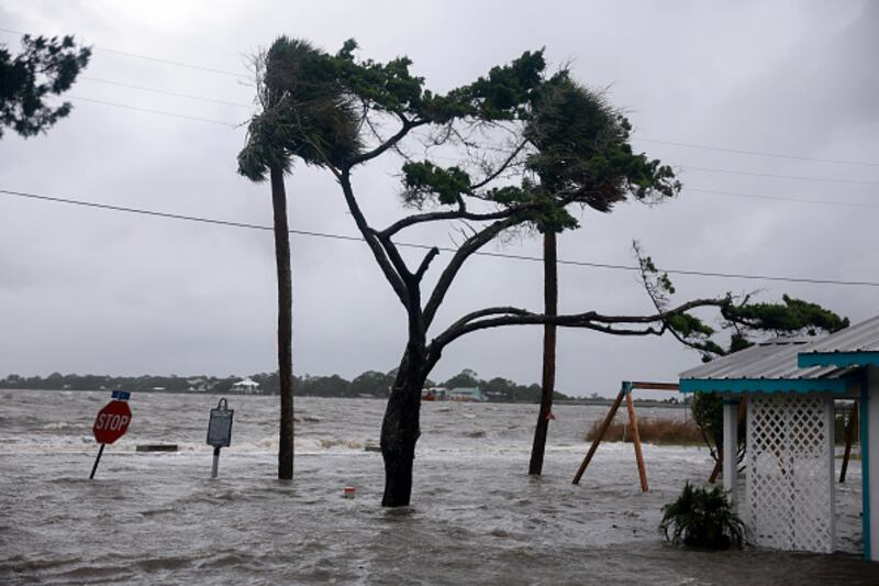 hurricane debby