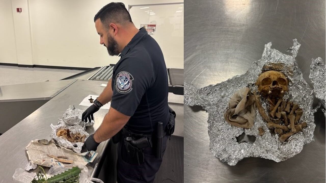 Customs officials found the items at Tampa International Airport.